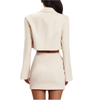 Women Fashion Cropped Blazer Miniskirt 2 Piece Outfit Business Suits