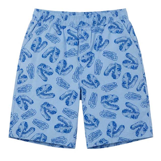 Summer Boys Loose Fit Elastic Waistband Blue Printed Cotton Shorts